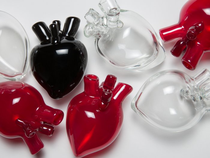 anatomical glass heart